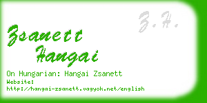 zsanett hangai business card